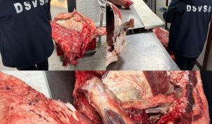 marfă confiscată și amendă uriașă – stiriest.ro