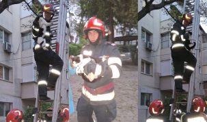 Pisică blocată două zile într-un copac, salvată de pompierii din Bârlad – stiriest.ro