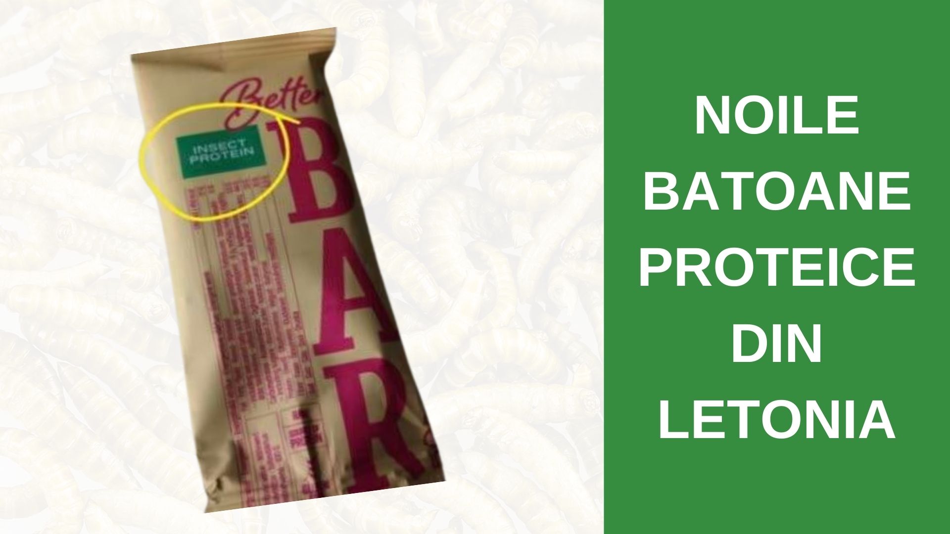 batoane proteice din gandaci