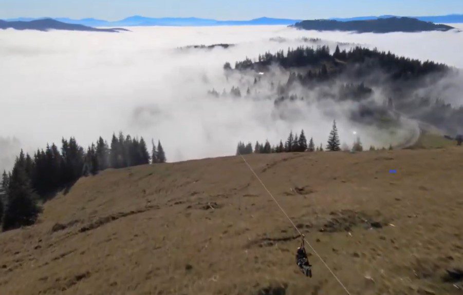 tiroliena din romania