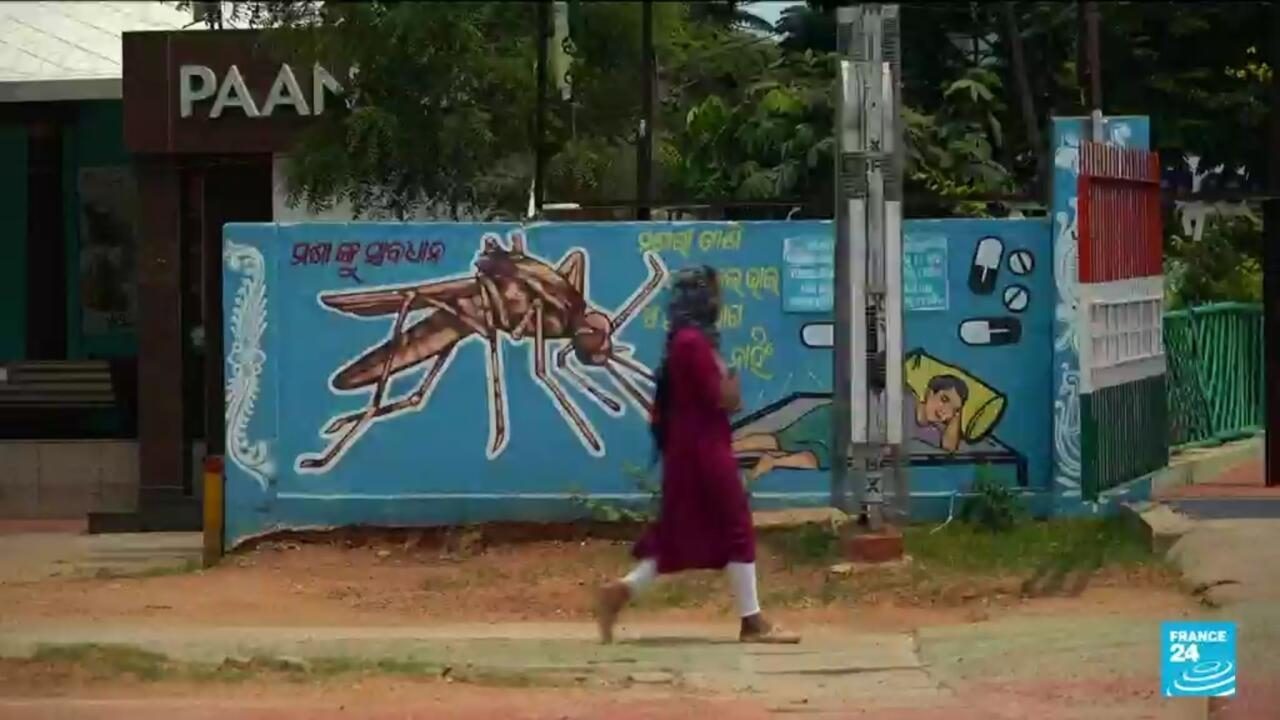 Social workers’ activist approach helps reduce cases in India’s Odisha