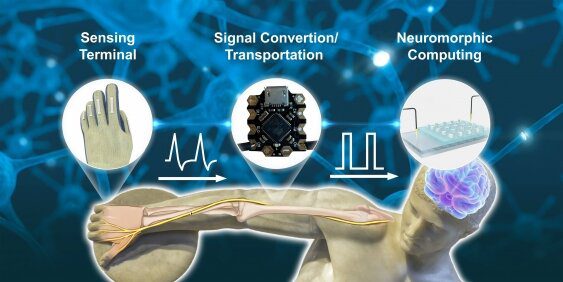 Developing technology to mimic the function of skin