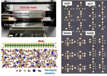 Wafer-scale transistor arrays created using slot-die printing