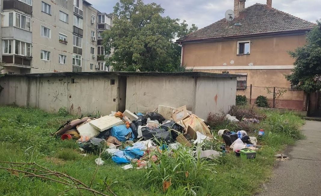 Amenzi de peste 63.000 lei, date în ultima săptămână de polițiștii locali, timișorenilor care au abandonat deșeuri în oraș sau nu și-au curățat terenurile de ambrozie