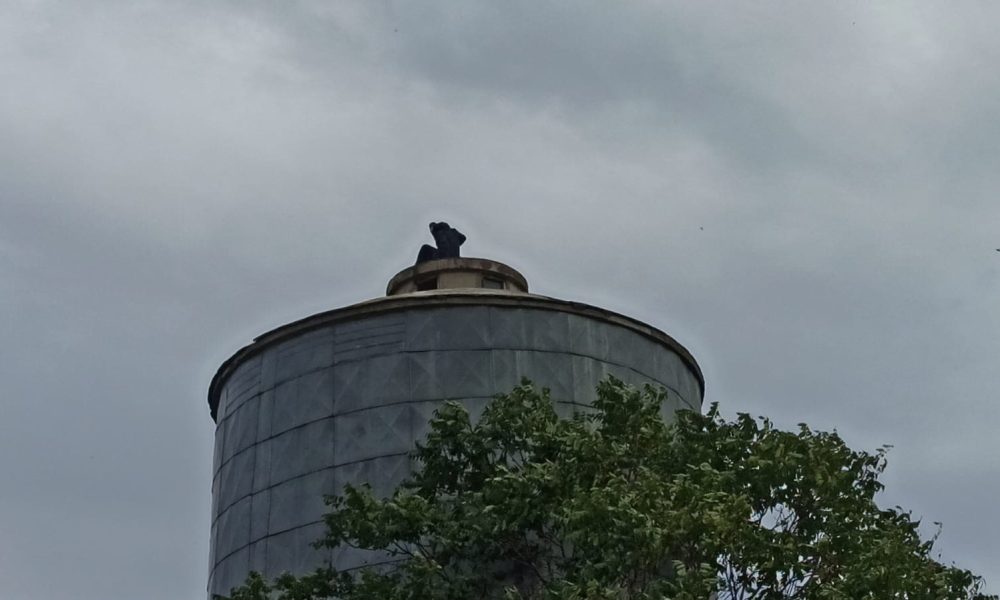 Un bărbat amenință că se aruncă de pe castelul de apă din Bârlad