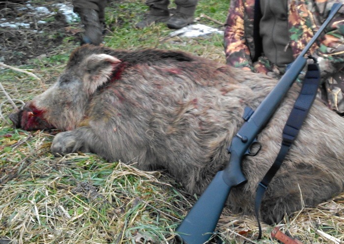 Mandatate de percheziție pentru braconaj cinegetic!