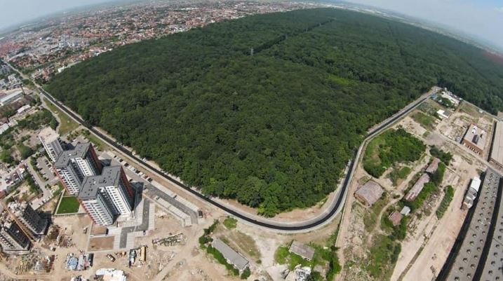Timișorenii, așteptați să își spună părerea cu privire la amenajarea Pădurii Verzi ca pădure-parc!
