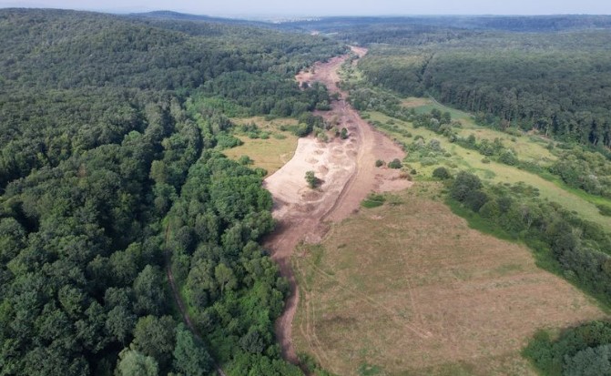Liber la construirea tunelurilor pentru urși, de pe A1! Pădurea de peste 18 ha, pe unde va trece autostrada, scoasă din fondul forestier național