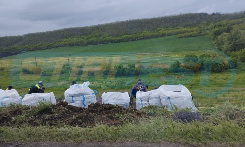 Un TIR încărcat cu floarea soarelui s-a răsturnat la Suseni- FOTO