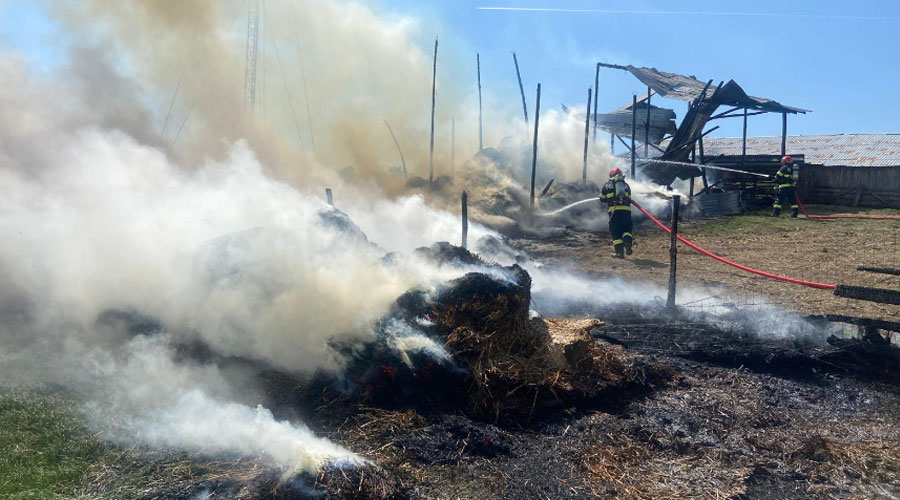 VIDEO Misiune dificilă a pompierilor, după ce un saivan de animale a luat foc! Autospecialele abia au putut ajunge în zonă