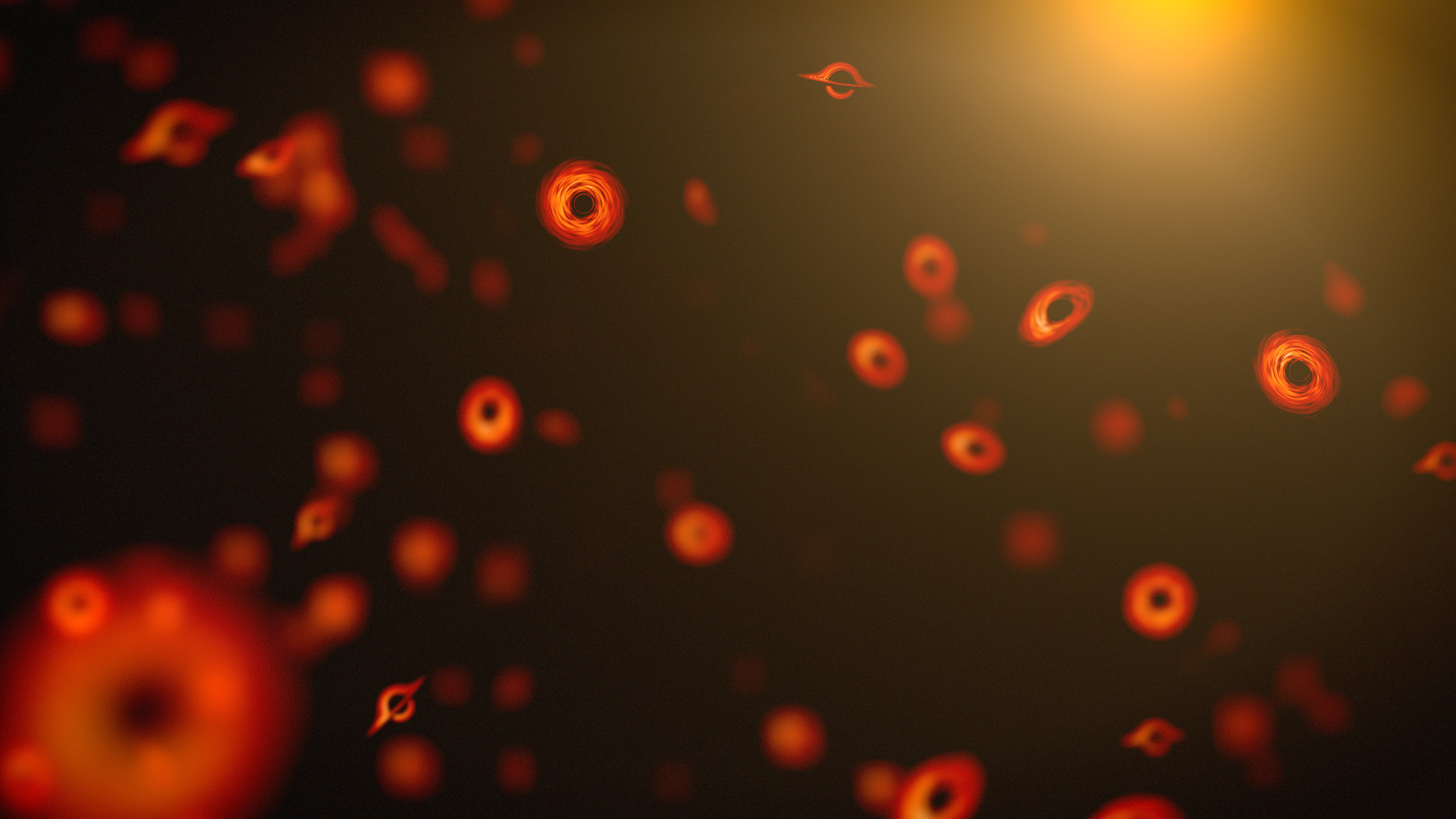 Primordial black hole visualization