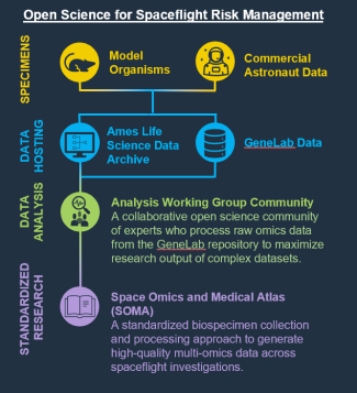 Ames Research Center Democratizes Space Biosciences Research with First Commercial Astronaut Data