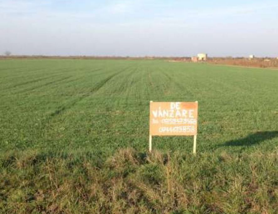 Terenurile extravilane agricole la mare căutare în județul Tulcea!