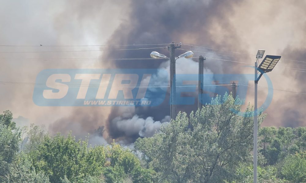 Incendiu puternic la Bârlad. Flăcările amenință o pădure, o fabrică și o casă