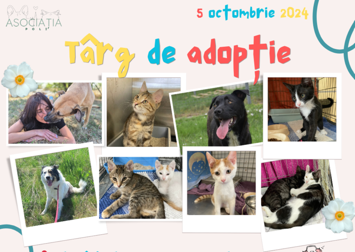 Ești în căutarea unui mic blănos care să îți țină companie? Vino la târgul de adopție organizat de Asociația Poli și dă șansă unui suflet blând!