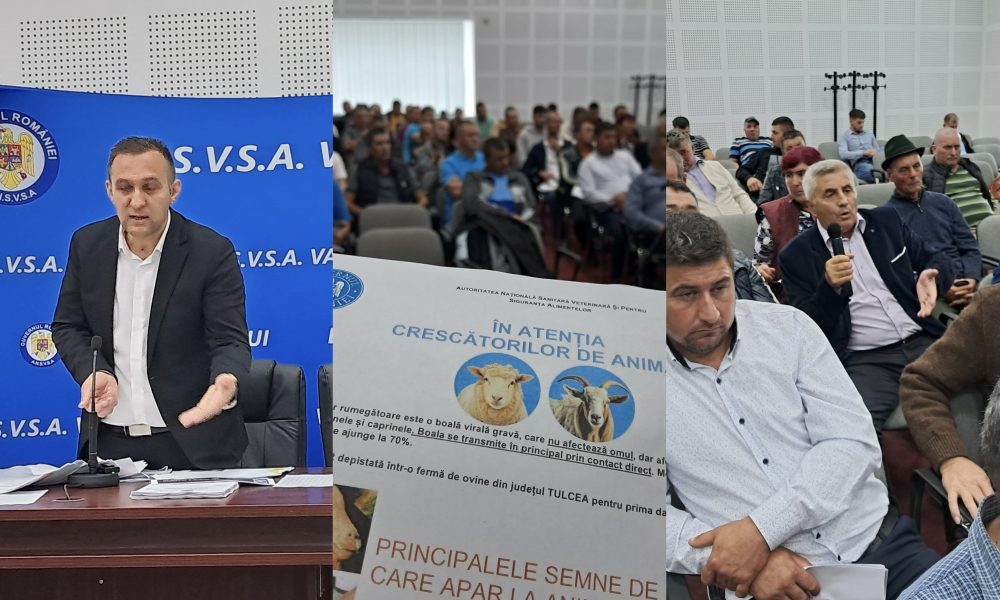 Ședință cu crescătorii de ovine din județul Vaslui cu privire la evoluția pestei micilor rumegătoare pe teritoriul României și măsurile de prevenire ale acesteia