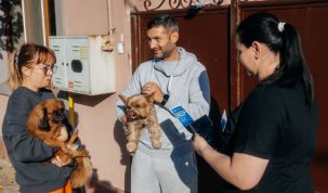 A început numărătoarea câinilor din Timișoara! Zeci de patrupede au fost deja incluse în registrele oficiale