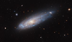 A spiral galaxy with a disk that glows visibly from the center. It has faint dust threaded through it. A spiral arm curves around the left edge of the disk and is noticeably denser with bright blue spots that hold hot and new stars. On the opposite side, the disk stretches out into a short tail where it covers a distant background galaxy. Other distant galaxies and some nearby stars are visible are also visible in this image.