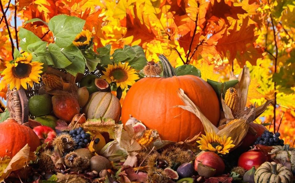 Un ceaun uriaș, muzică pentru toate gusturile și multă voie bună, la Festivalul Recoltei de la Giroc! Evenimentul este unul caritabil, iar banii adunați vor fi folosiți pentru ajutorarea copiilor și bătrânilor nevoiași!