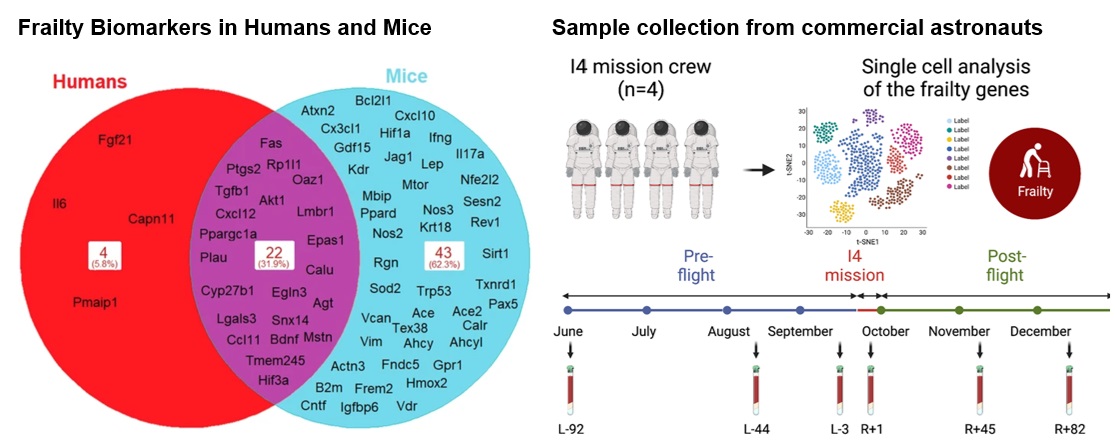 Graphic is an illustration of the study design showing the
