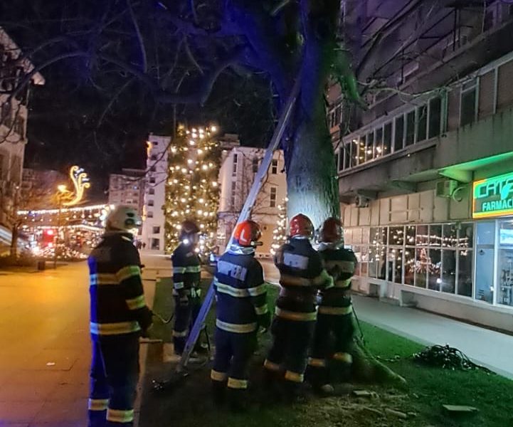 Incendiu provocat de o petardă într-un arbore ornamental din centrul Vasluiului- FOTO