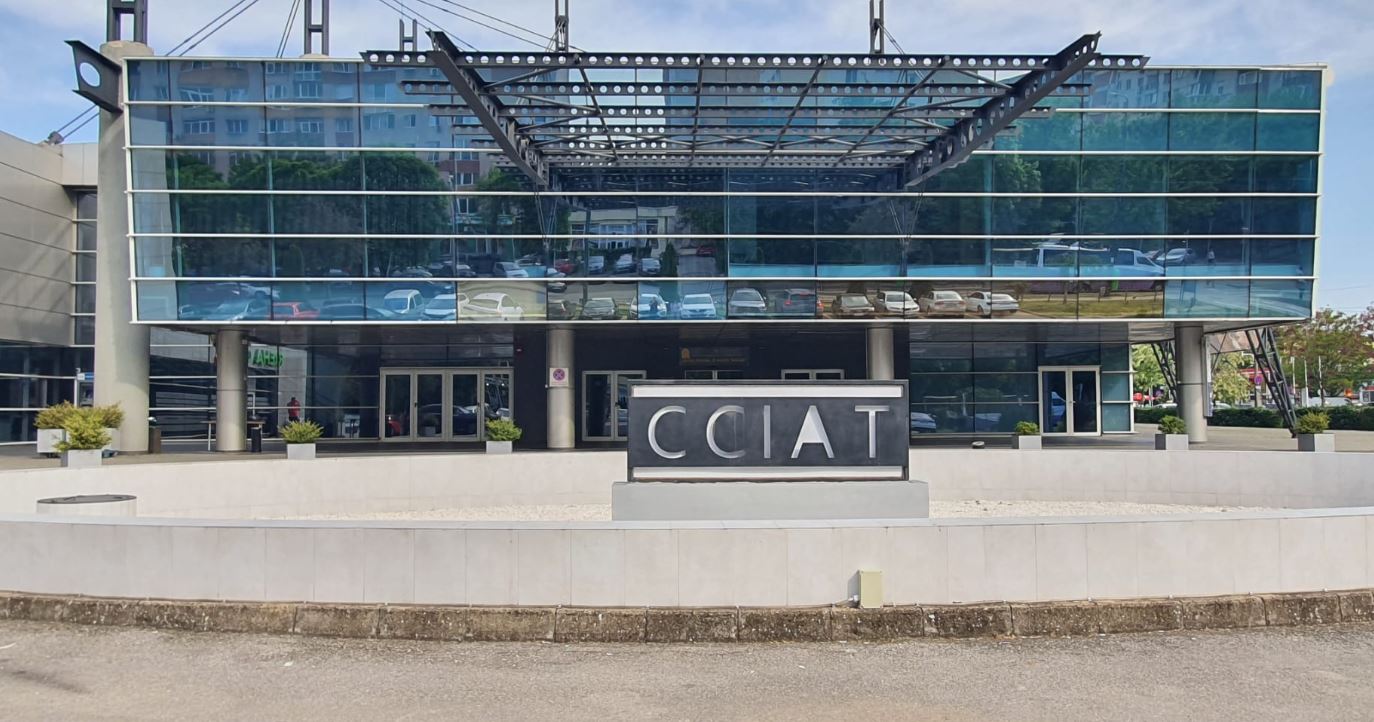 CCIA Timiș lansează cursul GRATUIT de marketing online!