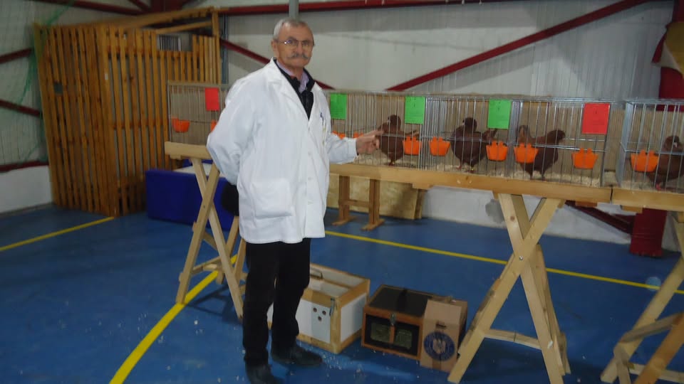 King! Lugojeanul Gheorghe Crașovan s-a impus și în județul Bihor, la Marghita