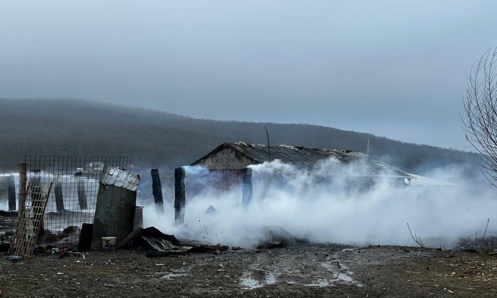 Incendiu devastator la un adăpost de animale din Vaslui- FOTO