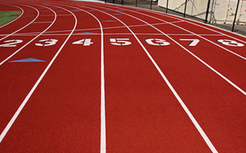 Cinci atleți ai Politehnicii Timișoara vor lupta pentru medalii la Campionatul Național de sală!