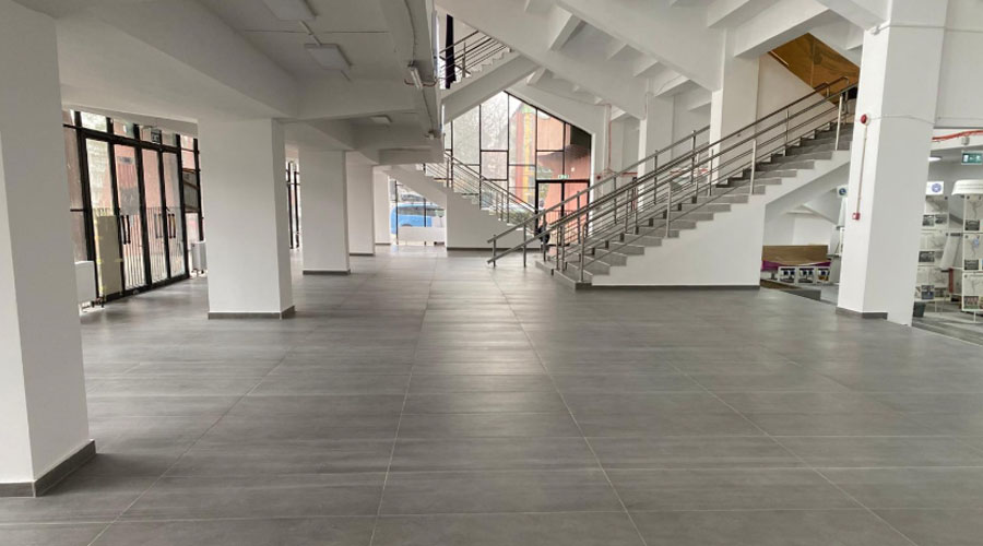 Video: Afară-i vopsit gardul, înăuntru-i leopardul! Fostul viceprimar Cosmin Tabără cere lucrări ample la Sala Olimpia din Timișoara, pe lângă cele de suprafață