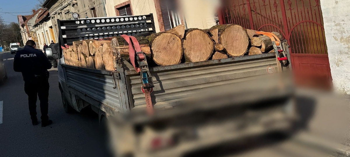 Drumul lemnnului trece prin Lugoj! Doi bărbați, prinși în timp ce transportau ilegal carpen, fag și tei