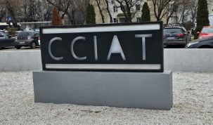 CCIA Timiș demarează, luna aceasta, cursul gratuit de competențe antreprenoriale, financiare și juridice!