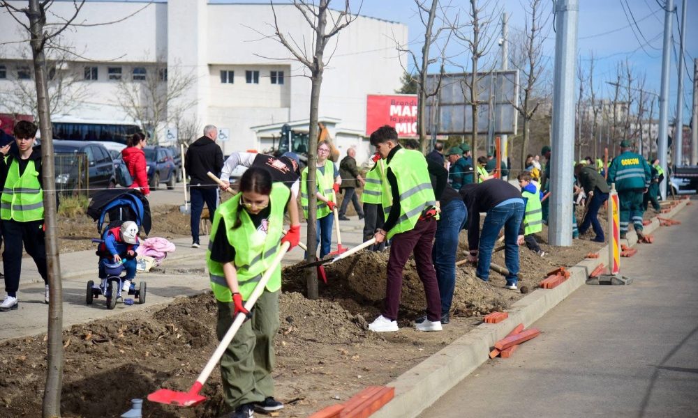 Peste 800 de arbori și arbuști, plantați în cadrul unei campanii derulate de Primăria Vaslui