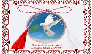 O primăvară cu pace! Deputat, Elena DOBOȘ