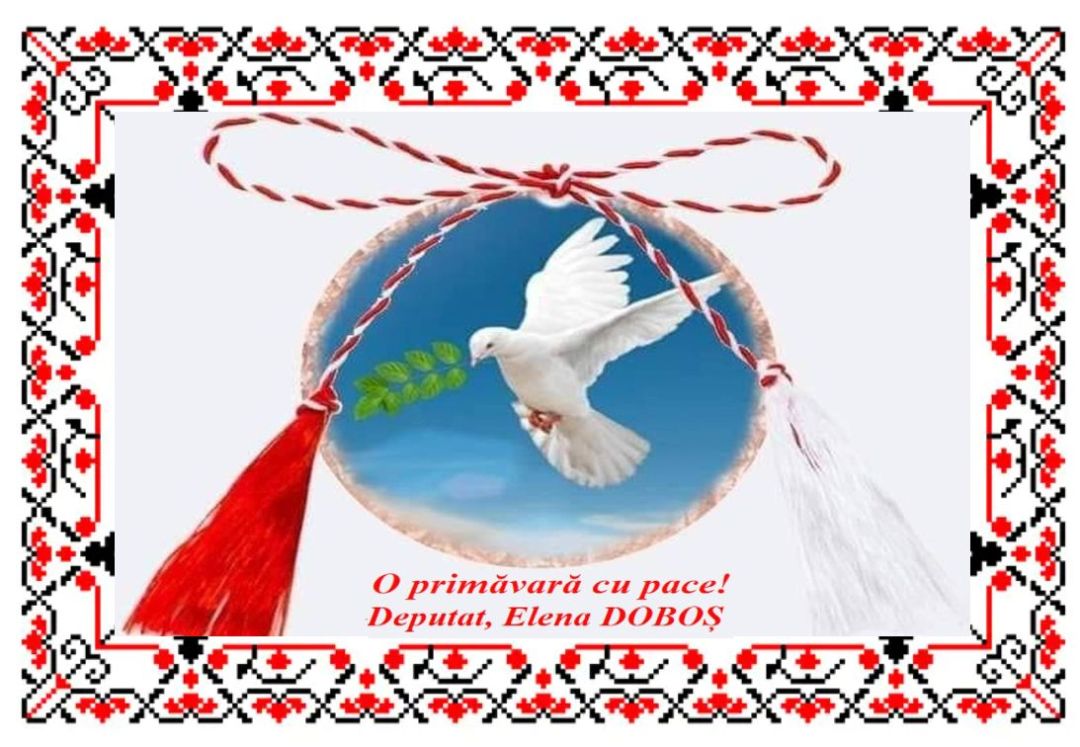 O primăvară cu pace! Deputat, Elena DOBOȘ