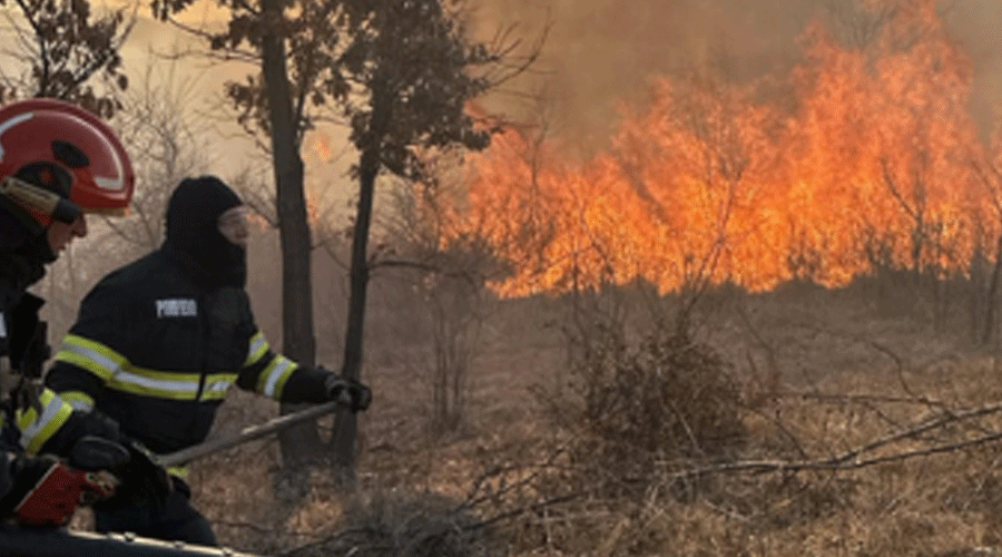 Pompier luat cu ambulanța, în timpul misiunii! Lupta cu flăcările violente care au cuprins sute de hectare de vegetație!