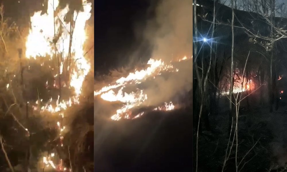 Pompierii din Bârlad și Vaslui, mobilizare rapidă pentru stingerea a două incendii de vegetație- FOTO
