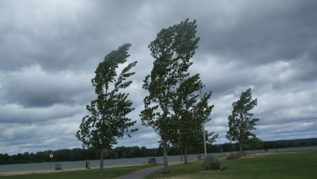 Alertă de vreme rea! Meteorologii au emis un cod portacaliu de vijelii, pentru vestul țării