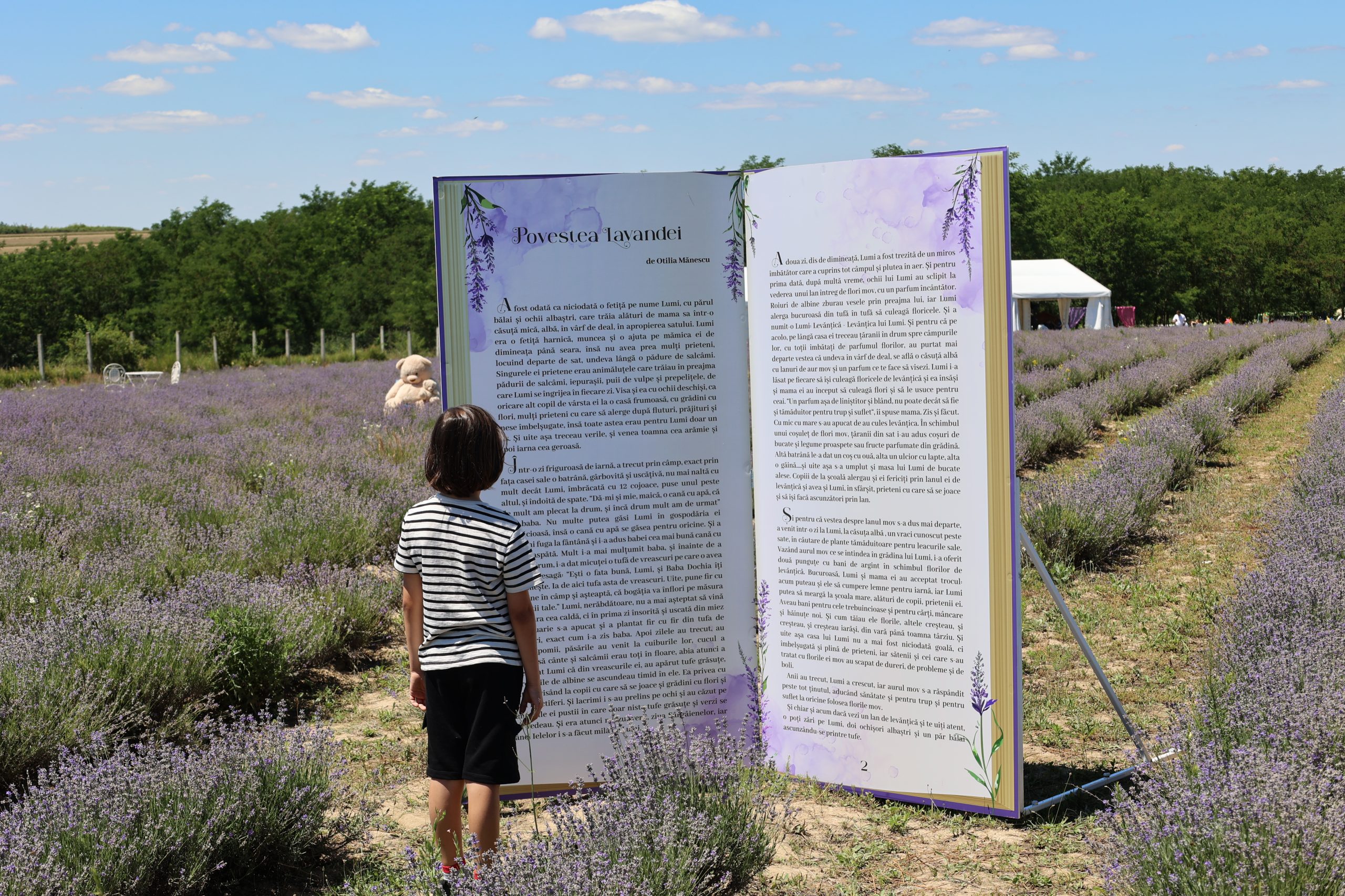 Zilele Lavandei de la Coșteiu! Povestea lor se spune în aer curat, cu parfum de flori, decorațiuni și locuri de joacă