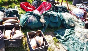 Rețea de braconaj piscicol destructurată la Tulcea: trei persoane arestate preventiv!