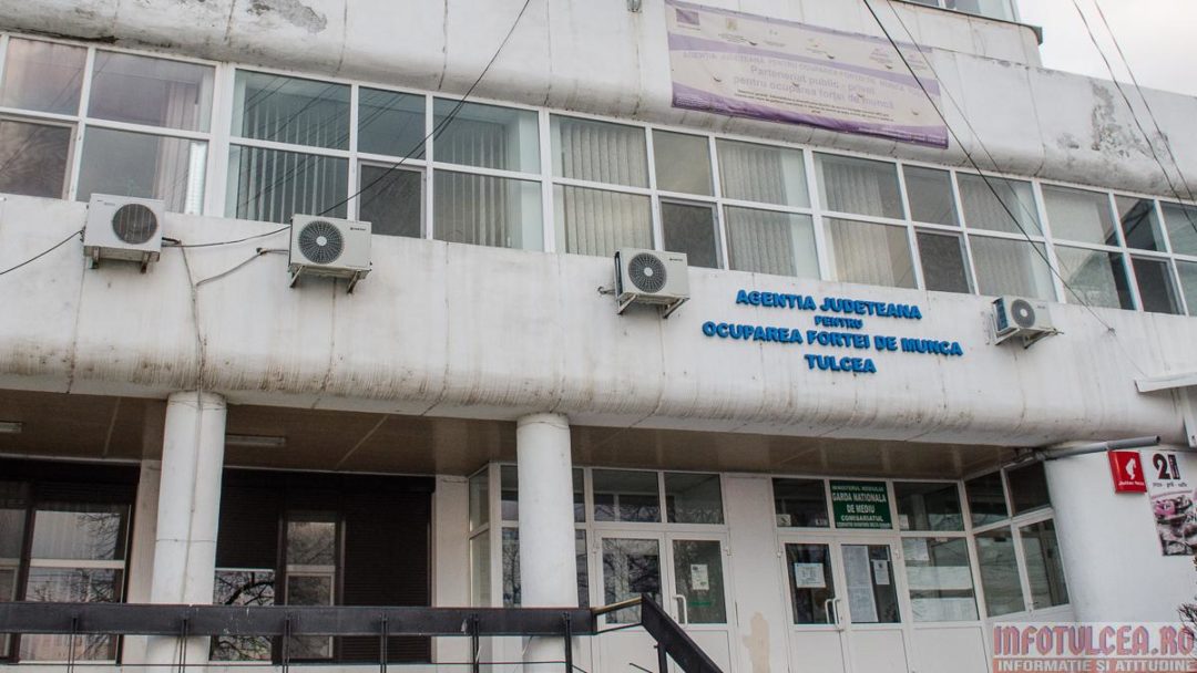 Sprijin real pentru integrare: AJOFM Tulcea aduce persoanele cu dizabilități mai aproape de piața muncii