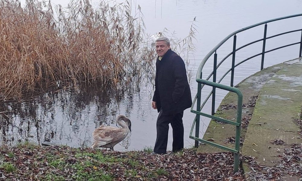 Primarul Boroș își face poze cu munca altora. Prodana, o victorie pe hârtie pentru Primărie- FOTO – stiriest.ro