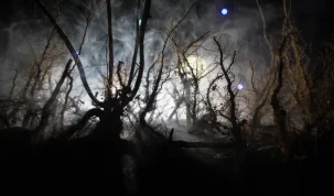 Tânăr de 38 de ani, găsit spânzurat într-un copac la Bârlad – stiriest.ro