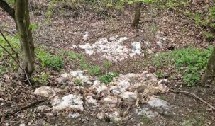 „Prea târziu pentru analize” – stiriest.ro