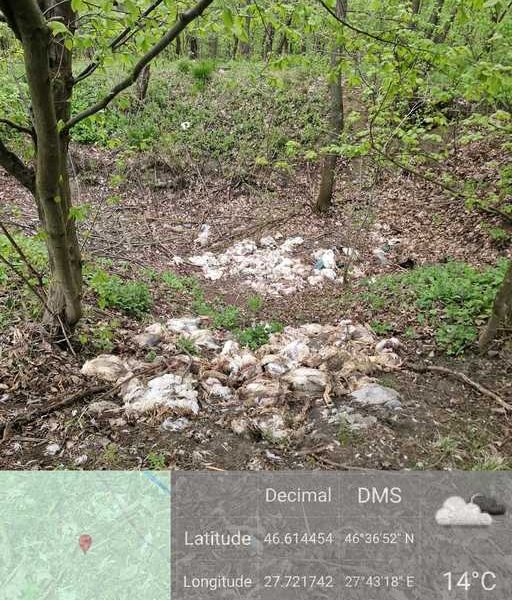 „Prea târziu pentru analize” – stiriest.ro