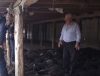 Noapte de coșmar pentru un fermier din Vaslui. Peste 130 de oi au fost ucise de câinii vagabonzi  – stiriest.ro