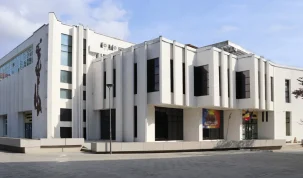 un akinaKes scitic descoperit la Dumești – stiriest.ro