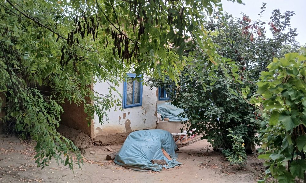 igienă lipsă și posibile substanțe toxice în gospodărie – stiriest.ro