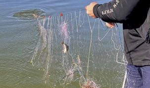 Plase de braconaj și 35 kg de pește, descoperite pe lacul Trei Iezere