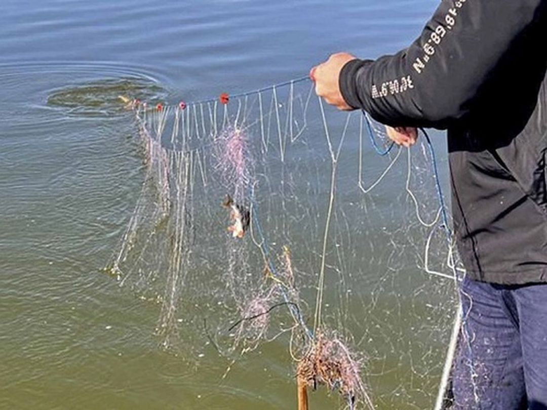 Plase de braconaj și 35 kg de pește, descoperite pe lacul Trei Iezere
